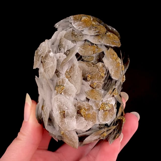 Calcite (''poker chip'' crystals) with Pyrite