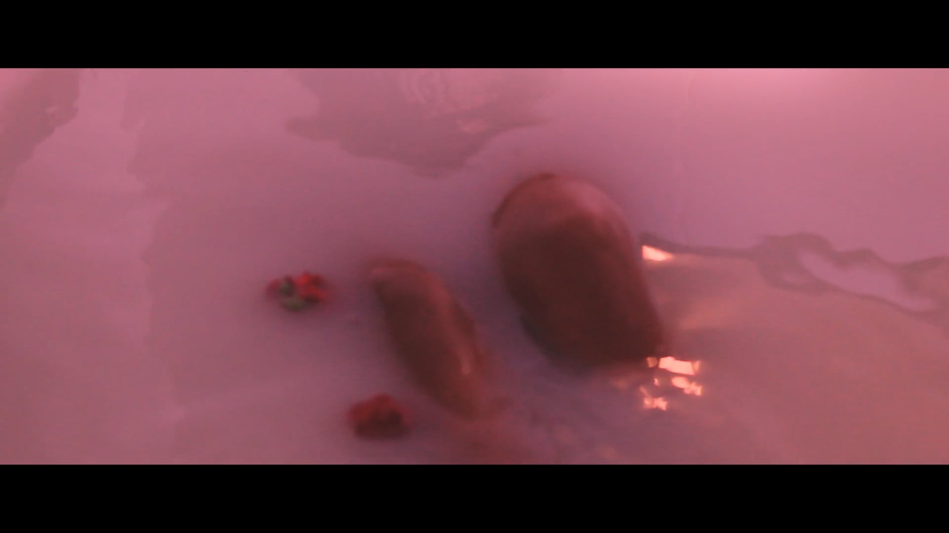 A Caixa de 4 Cômodos | 2017