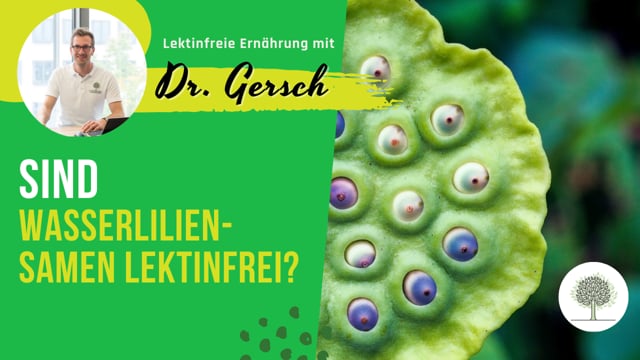 Sind Wasserliliensamen lektinfrei?