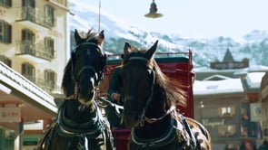 136196_Bucher Travel Inc._Firmenvideo_DE