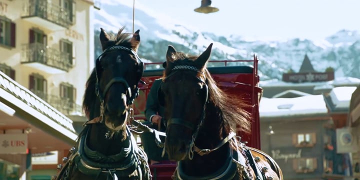 136196_Bucher Travel Inc._Firmenvideo_DE