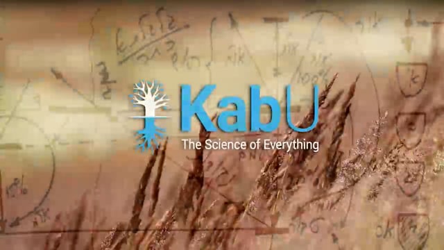 Mar 24, 2024 –  Israel, the Light & the Creator and the Workshop as a Tool for Connection