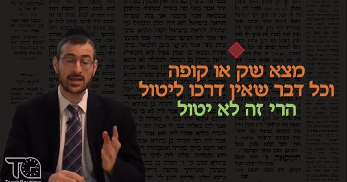 R' Shlomo Schwartzberg | Masechet Bava Metzia Daf 30 Intro