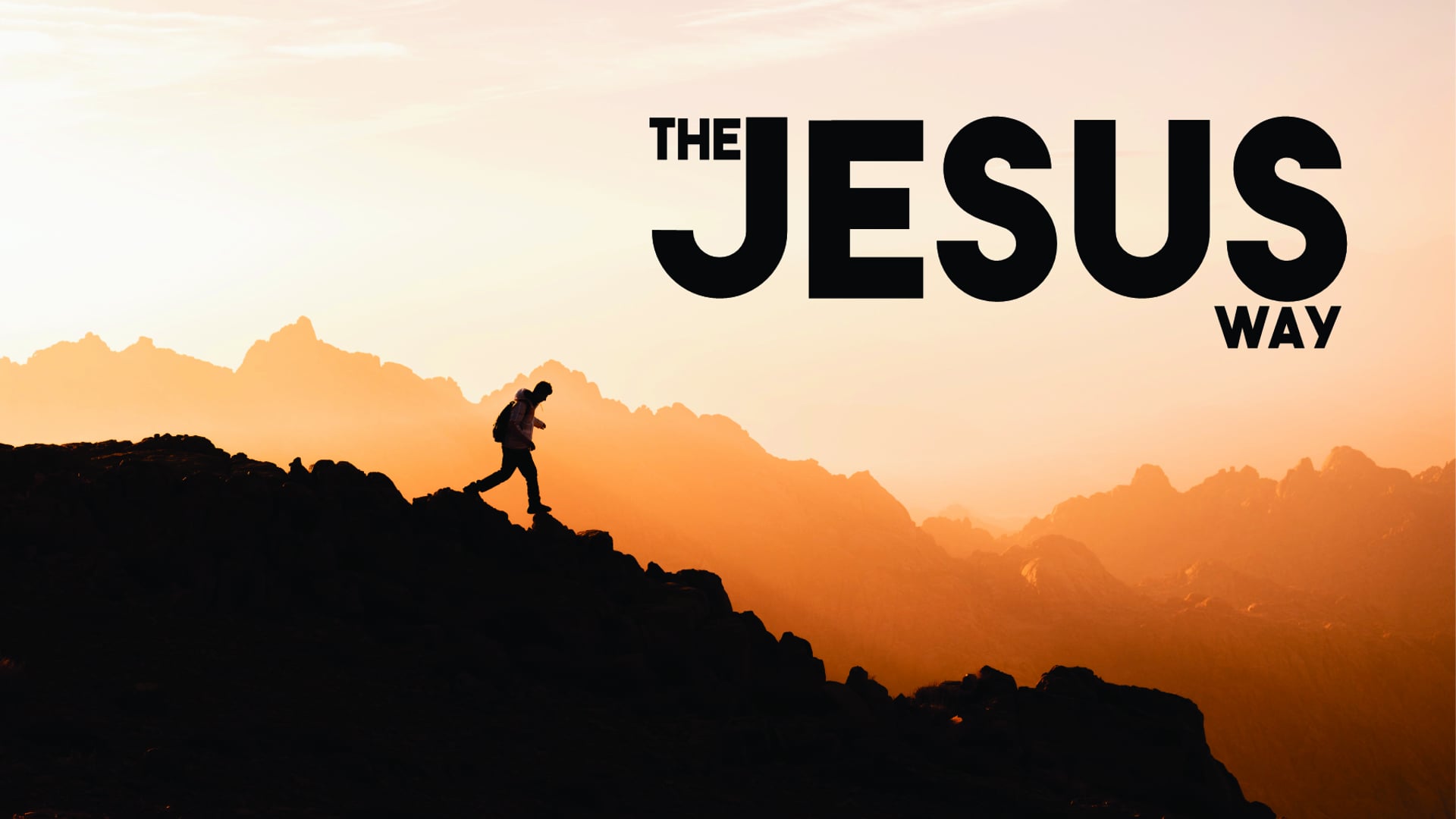 03.24.24 - The True Disciple