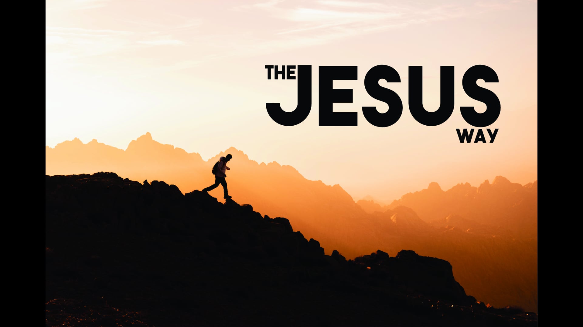03.24.24 - The True Disciple