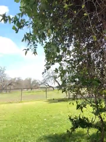 Watch colton wiemers's Lung to Single Leg Hop: Approved