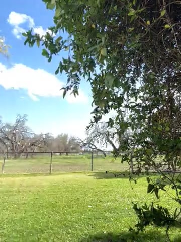 Watch colton wiemers's Lung to Single Leg Hop: Approved