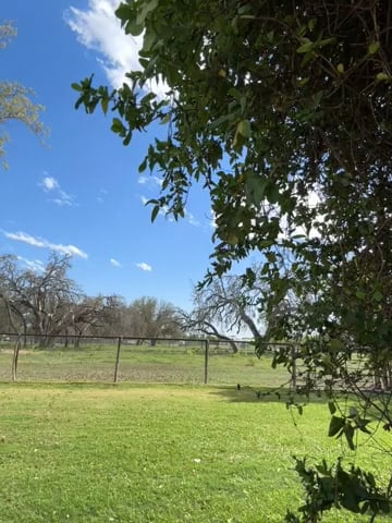 Watch colton wiemers's Lung to Single Leg Hop: Approved