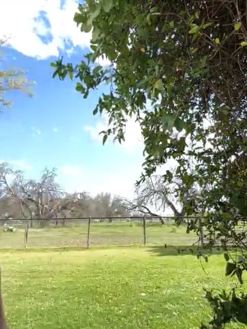 Watch colton wiemers's Lung to Single Leg Hop: Approved