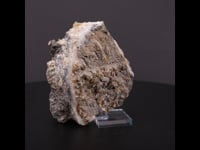 66874 - Siderite, Sphalerite, Quartz