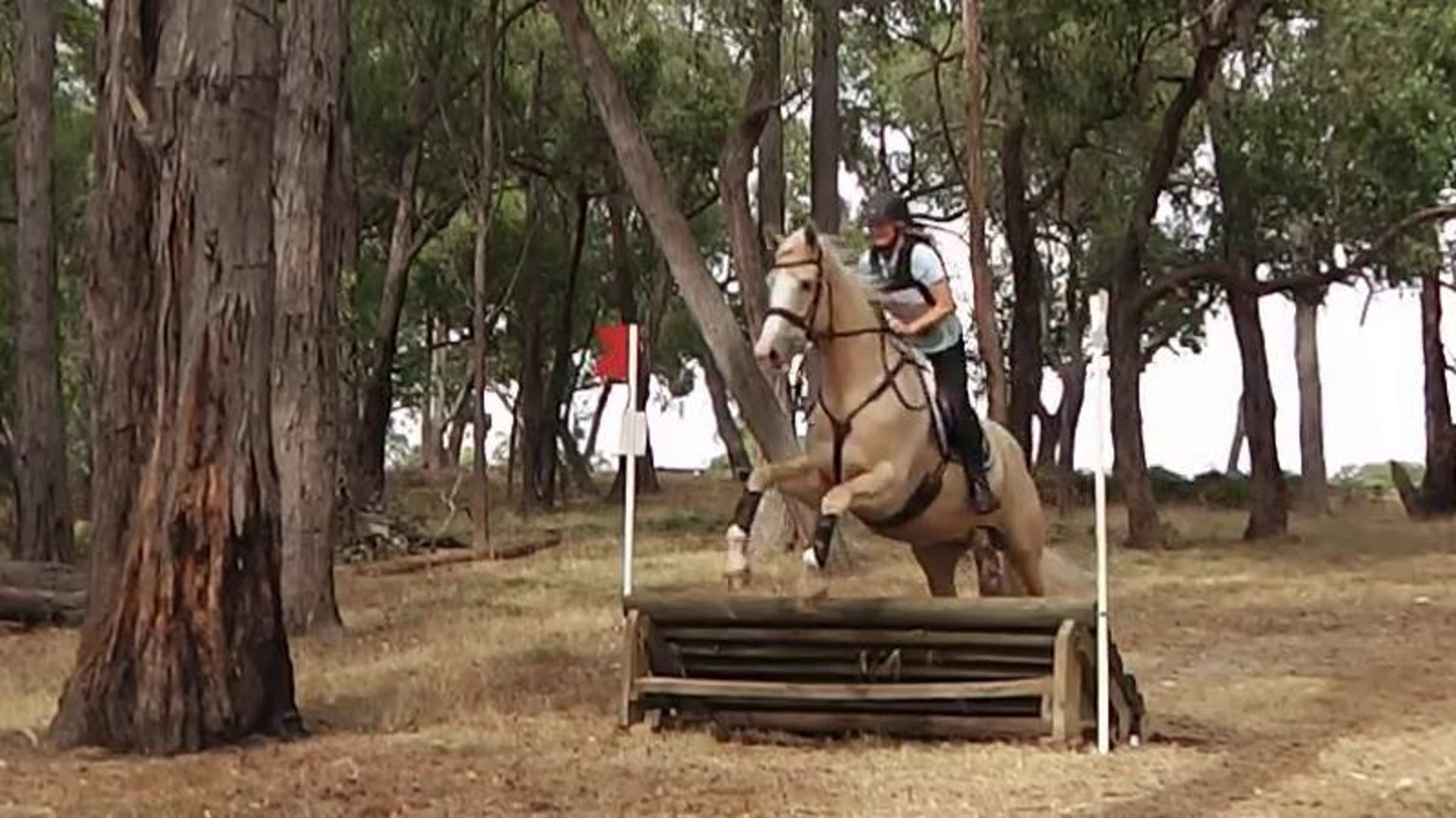 Ashleigh Ives riding SILVER WARLOCK 675 Ev65 Wandin Park International ...