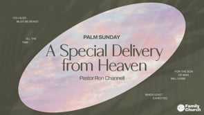 A Special Delivery From Heaven | Palm Sunday