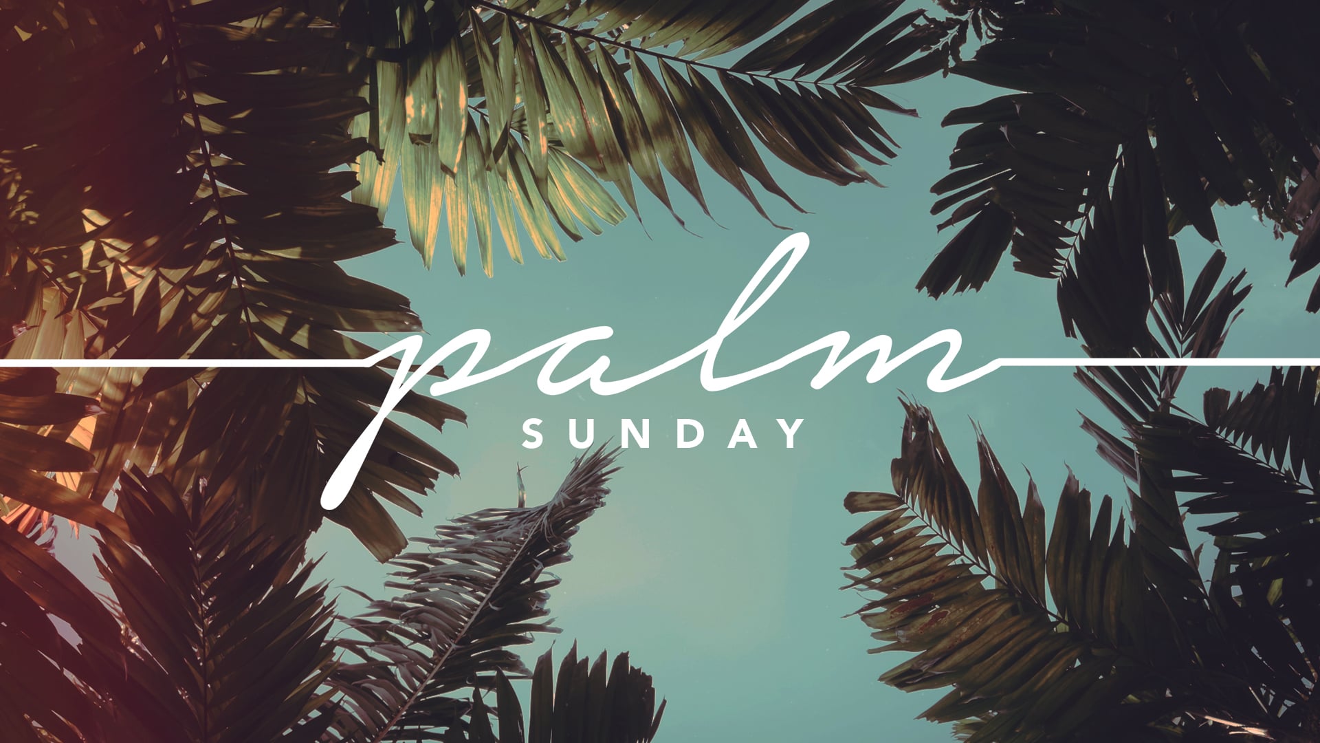 Palm Sunday