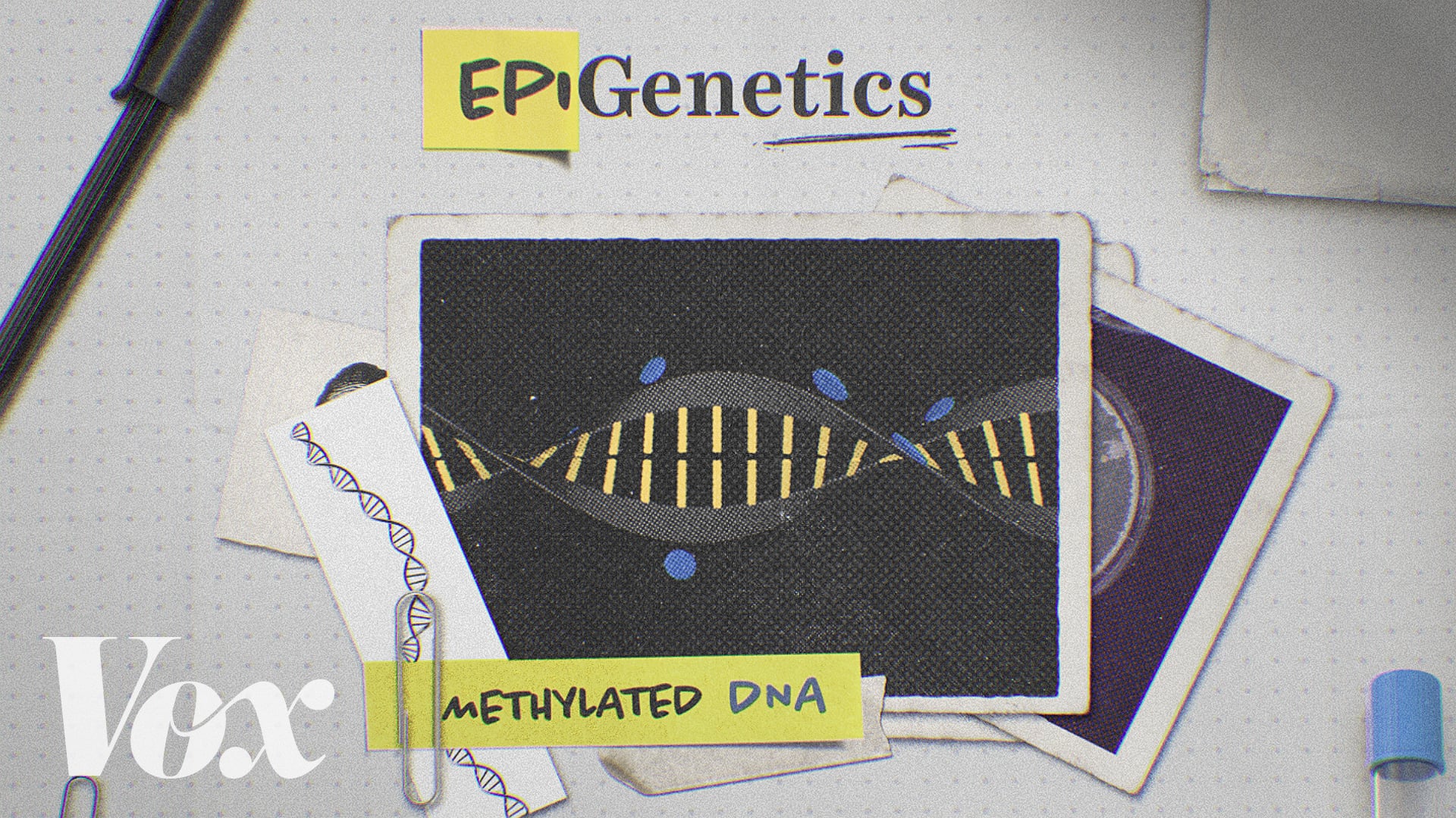 Vox - Epigenetics Explainer