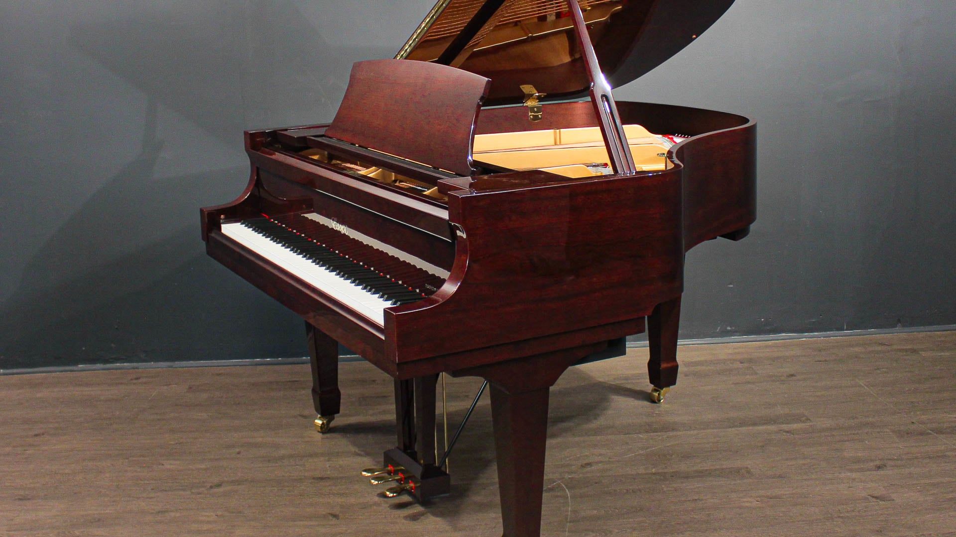 Baby Grand Pian Mahony PianoDisc iQBaby Grand Pian Mahony PianoDisc iQ  