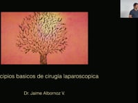 02 Principios Básicos de Cirurgia Laparoscopica J Albornoz