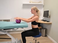 Übung 48g: 'bench slide' Übung im Sitzen doppelhändig