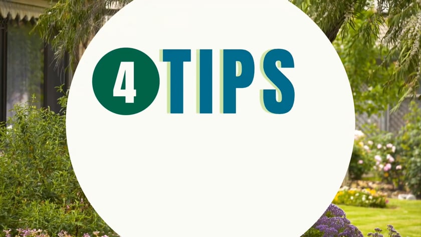 vimeo-video-thumbnail