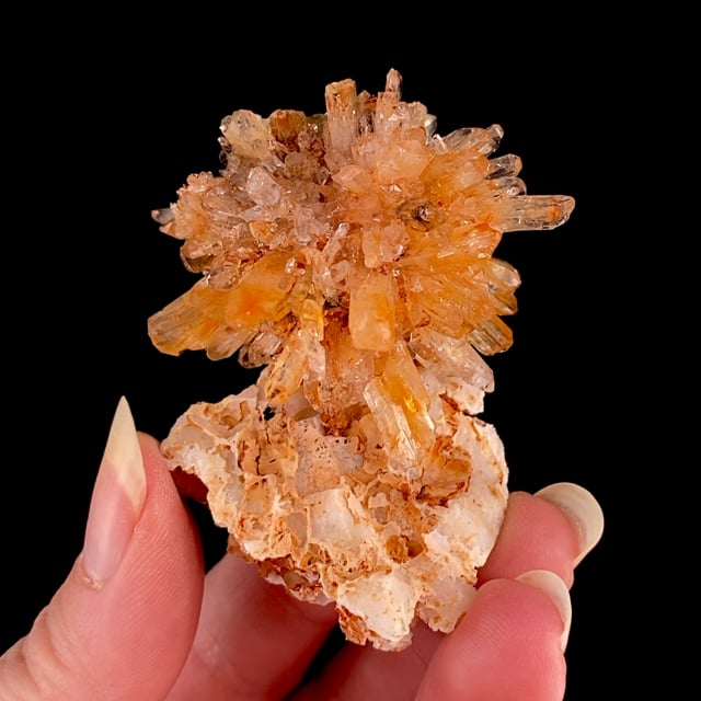 Creedite