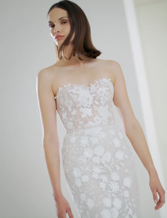 Olly - Mira Zwillinger