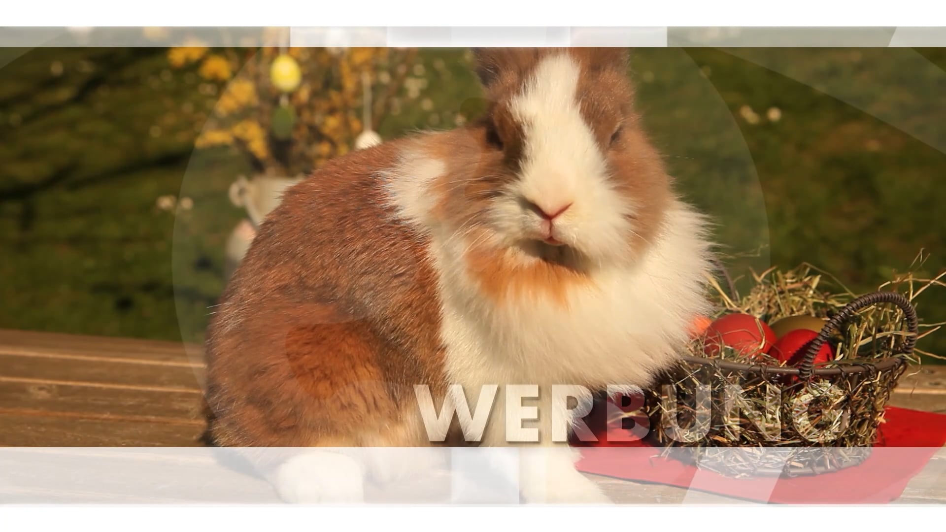 werbung-salzburg-magazin-27-03-2024