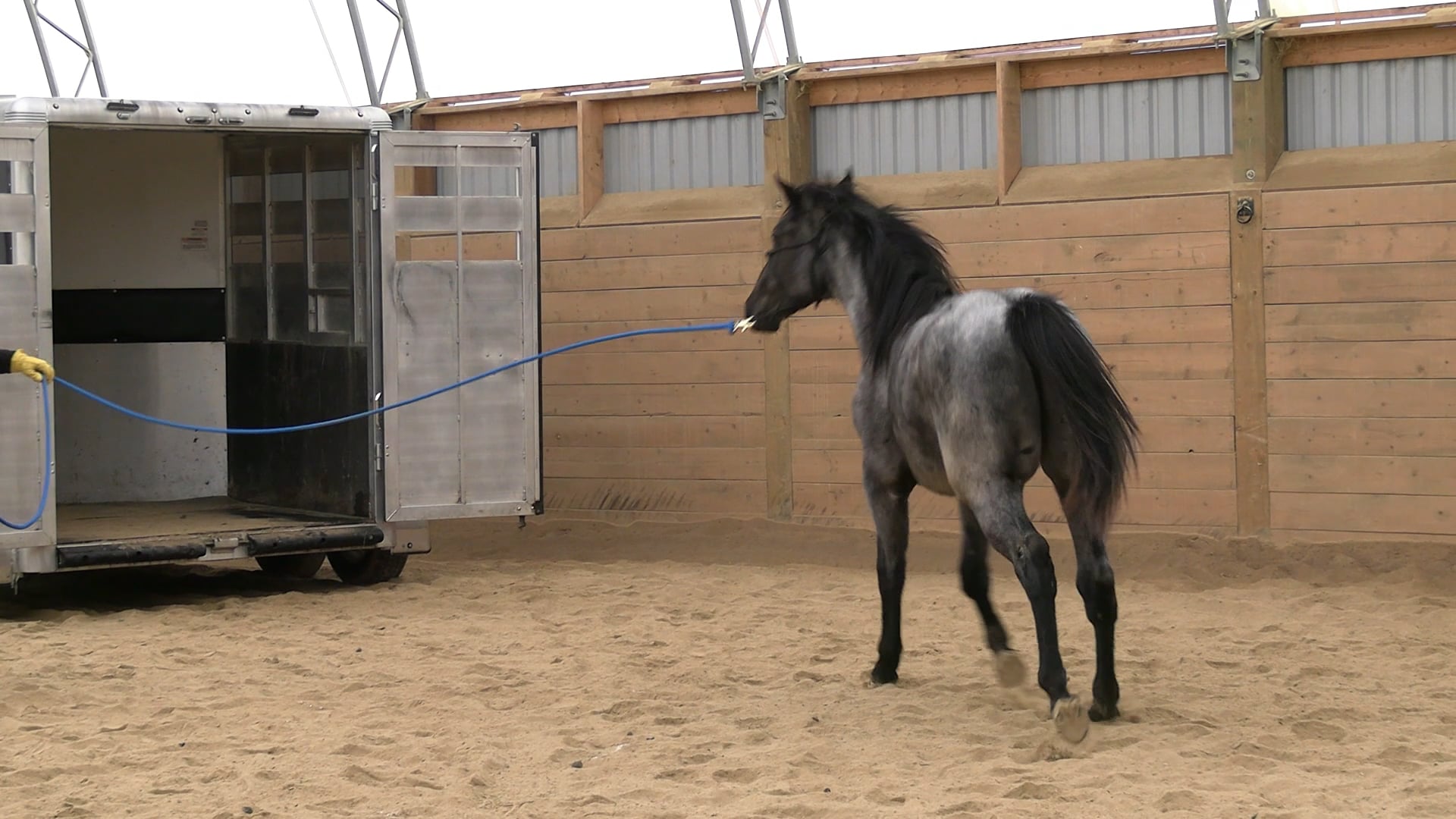 Watch Trailer Loading Course with Jason Irwin Online | Vimeo On Demand ...