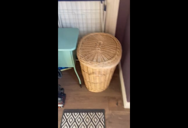 Video 1: