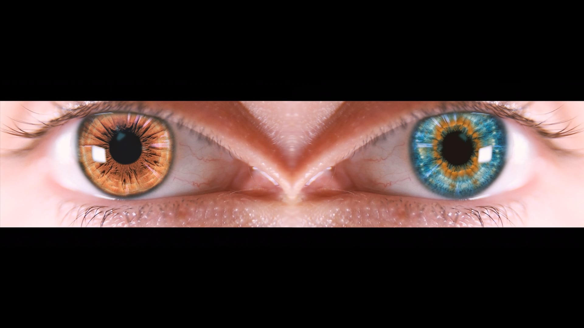 GTBTHK(VISUALIZER)