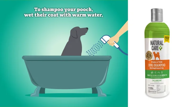 How to Use Natural Care Dog Shampoo