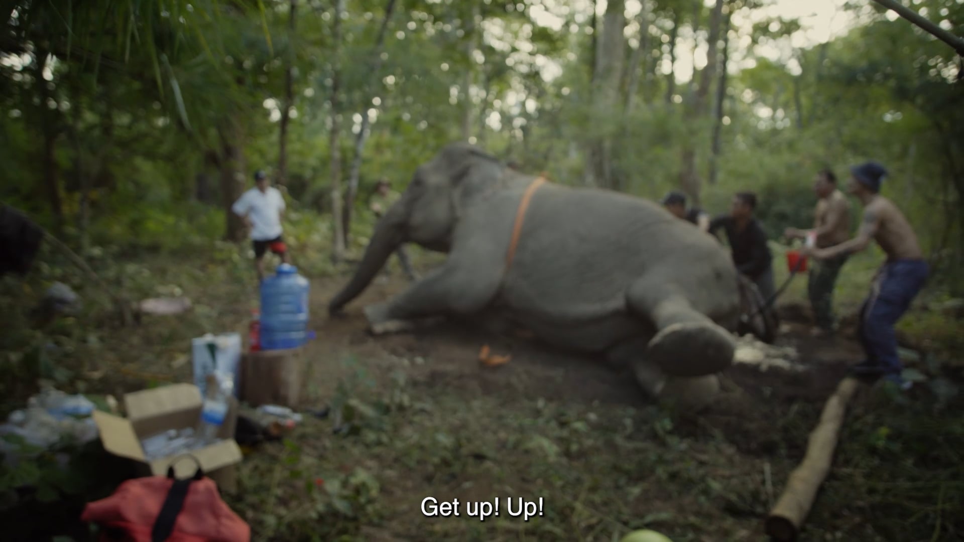 THE AWAKENING OF THE VIETNAMESE ELEPHANT Trailer