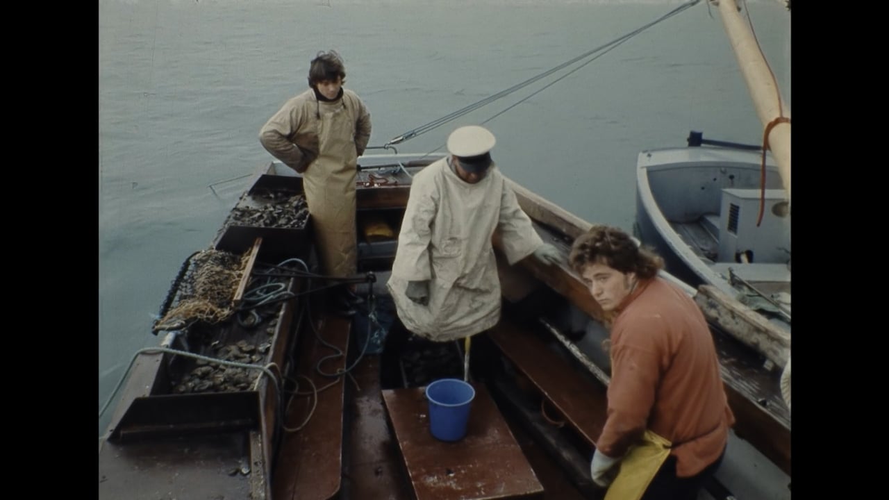From the Culch, a video by Paul Mulraney 