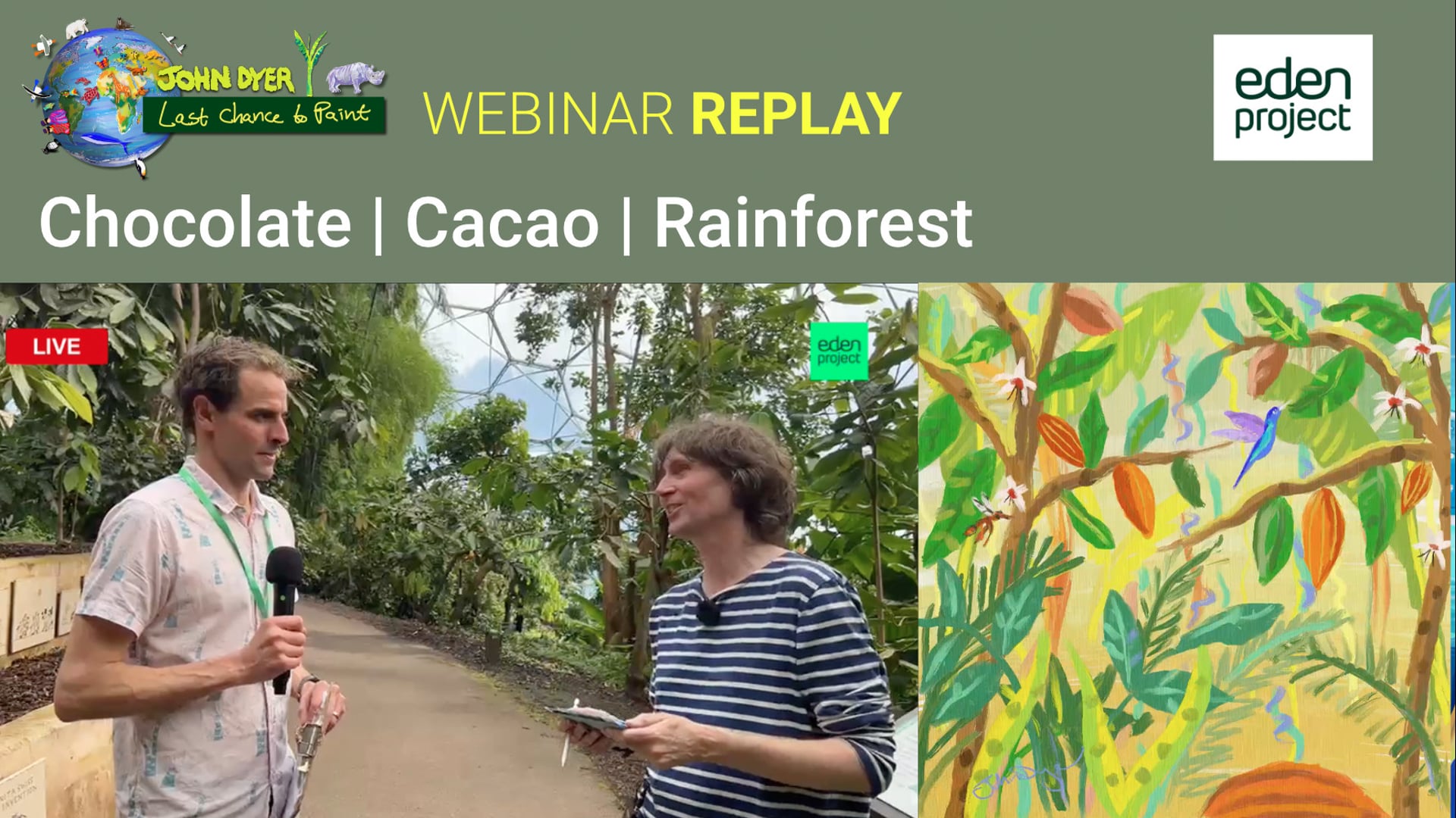 Paint and learn about chocolate & the Cacao tree 'live' from Eden Project