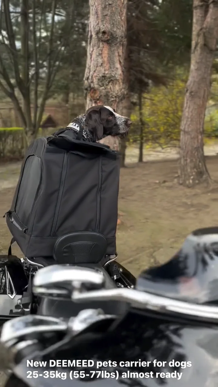 Harley Davidson Sacoche Reservoir Moto Pour Chien Sacoche Moto