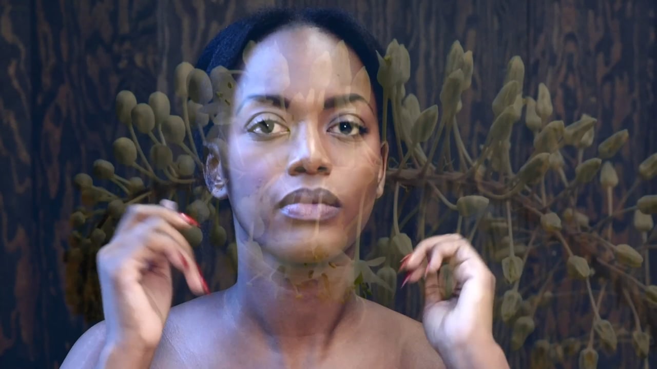 Un avant-goût du spectacle