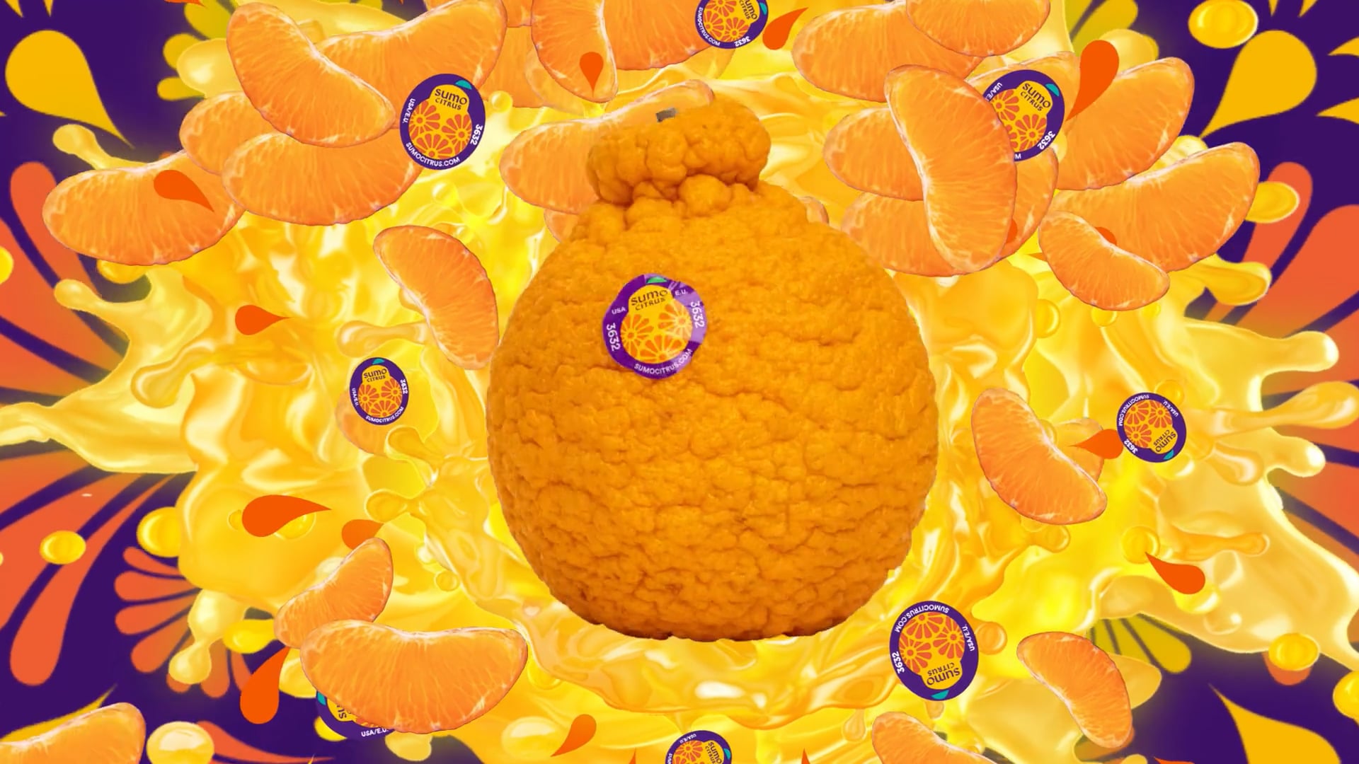 Sumo Citrus Mandala