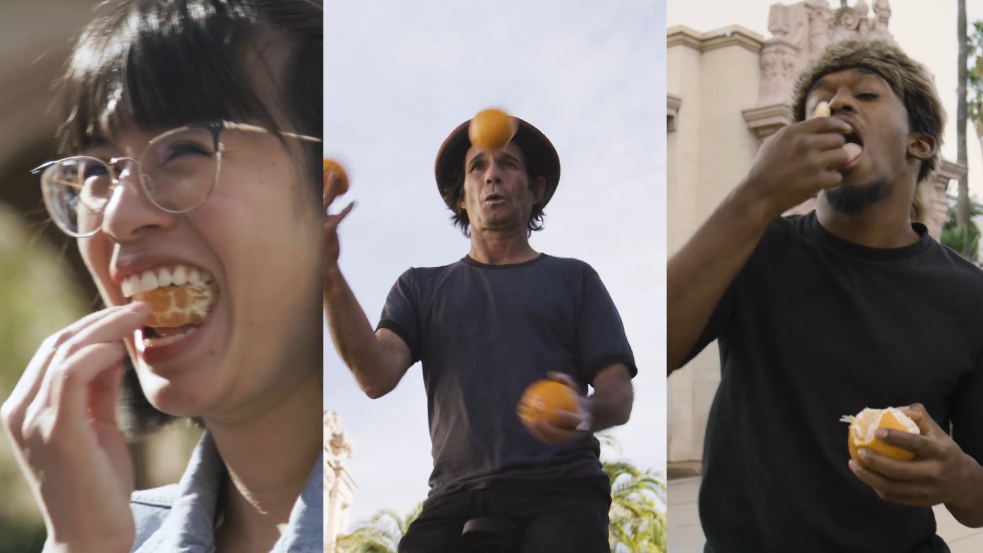 Sumo Citrus - "The Proof"