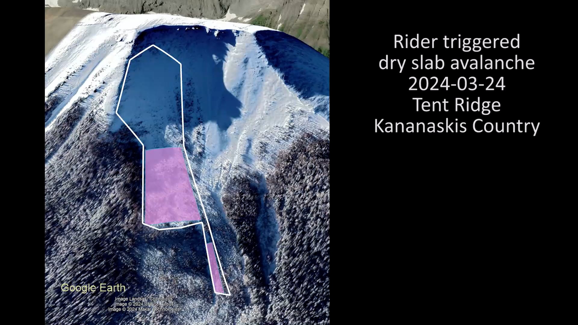 Comparing two methods for estimating the size of an avalanche