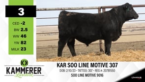 Lot #3 - KAR SOO LINE MOTIVE 307