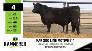 Lot #4 - KAR SOO LINE MOTIVE 314