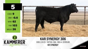 Lot #5 - KAR SYNERGY 306