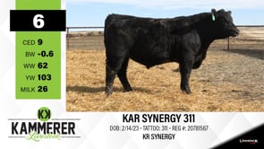 Lot #6 - KAR SYNERGY 311