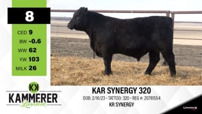 Lot #8 - KAR SYNERGY 320