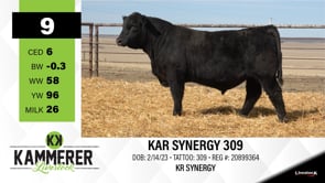 Lot #9 - KAR SYNERGY 309