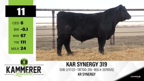 Lot #11 - KAR SYNERGY 319