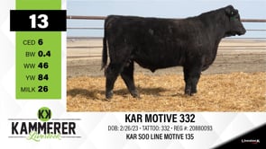 Lot #13 - KAR MOTIVE 332