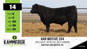 Lot #14 - KAR MOTIVE 334