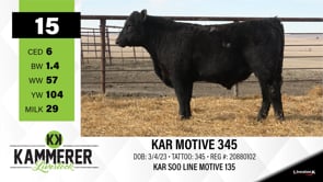 Lot #15 - KAR MOTIVE 345