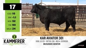 Lot #17 - KAR AVIATOR 301