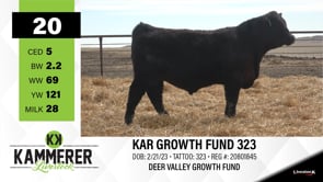 Lot #20 - KAR GROWTH FUND 323