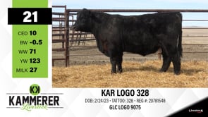 Lot #21 - KAR LOGO 328